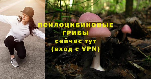 а пвп мука Армянск
