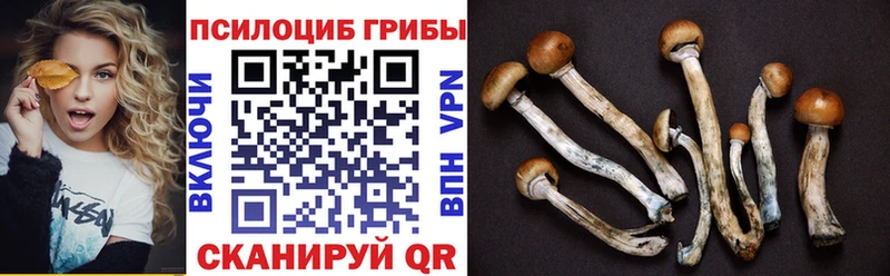 Псилоцибиновые грибы мухоморы  Солигалич 